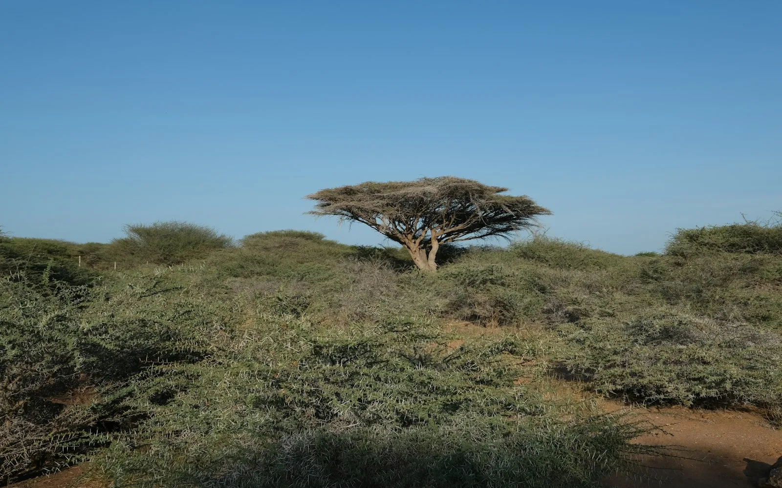djibouti cover photo