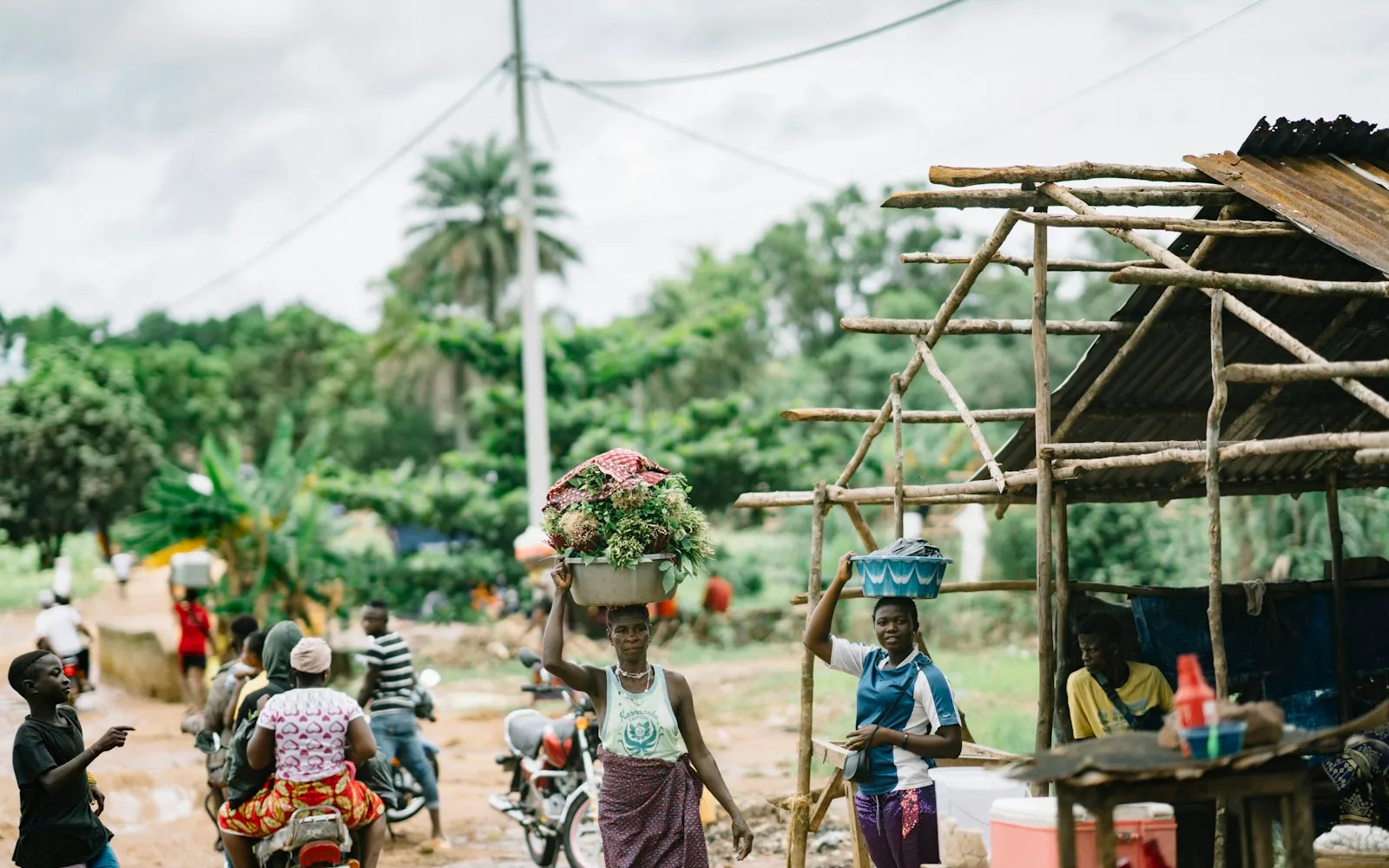 freetown cover photo