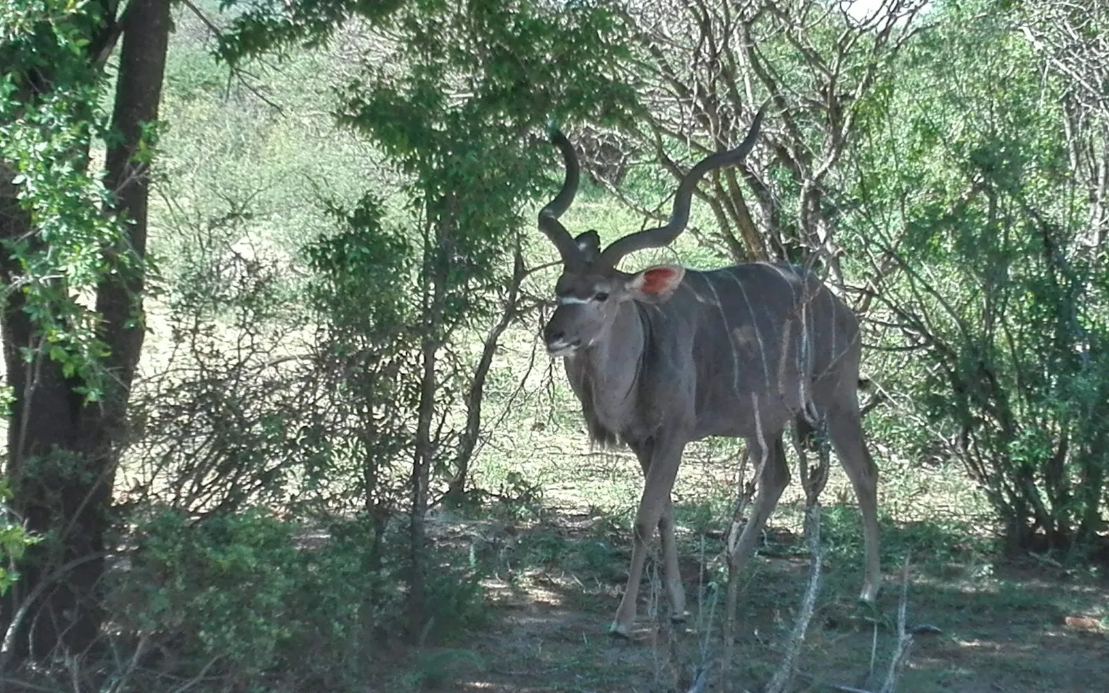 gaborone cover photo