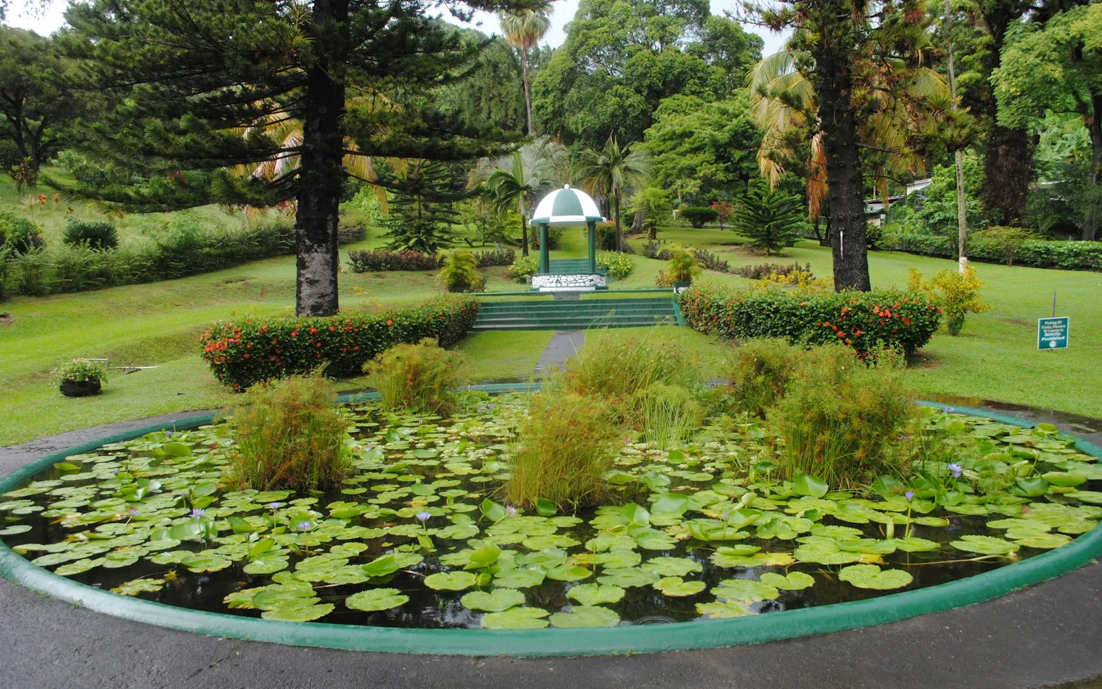 kingstown cover photo