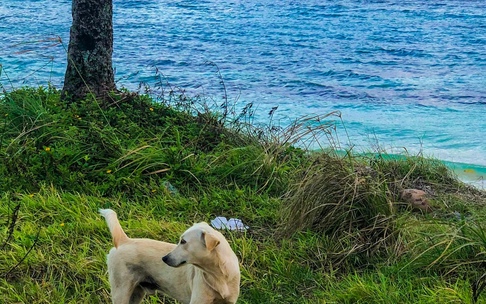 majuro cover photo
