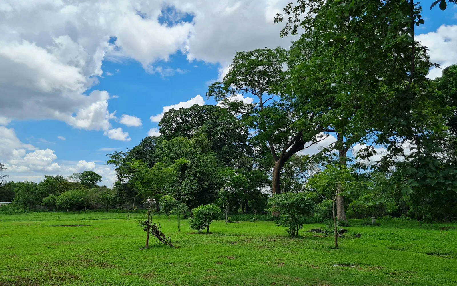 managua cover photo