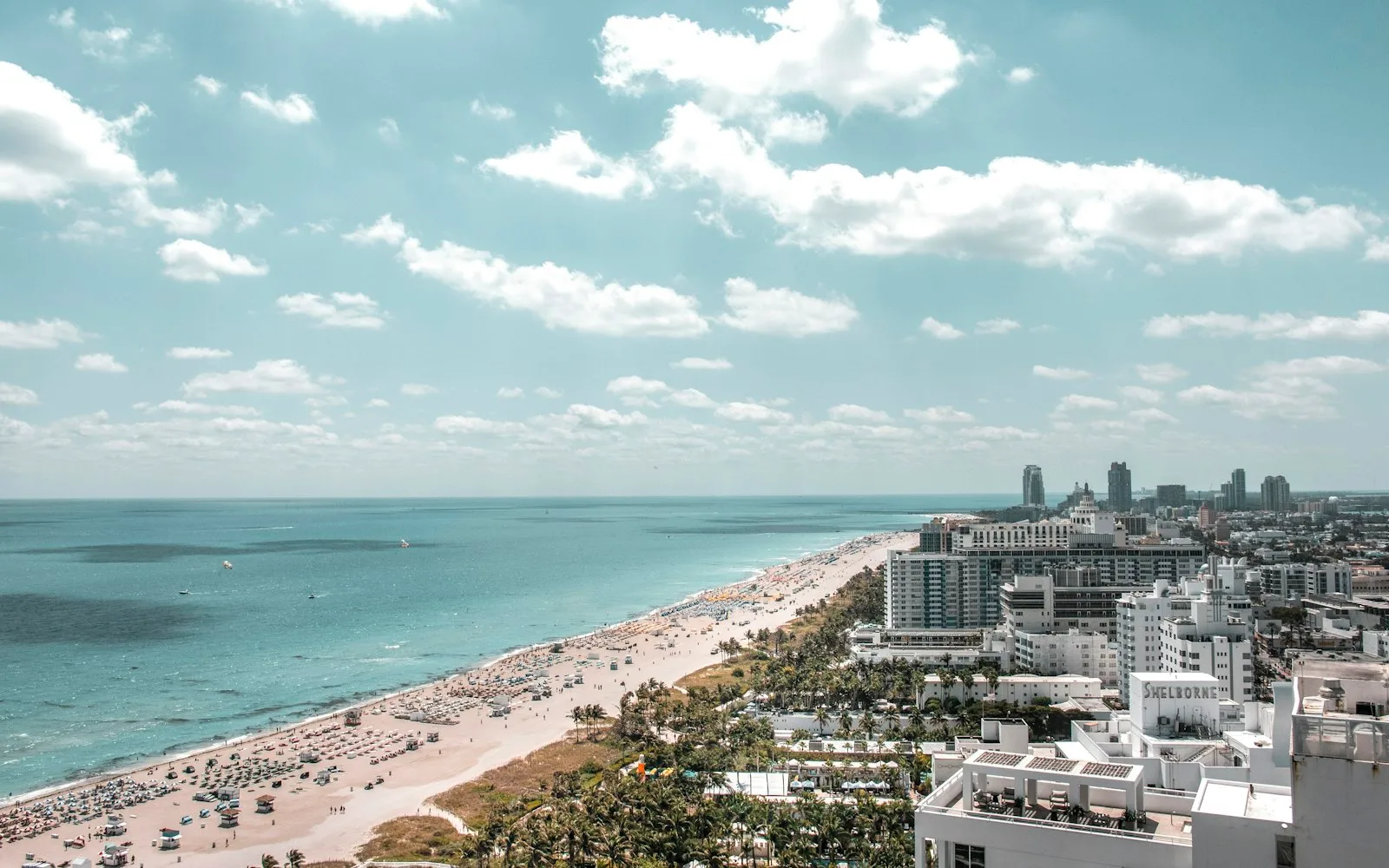 miami cover photo