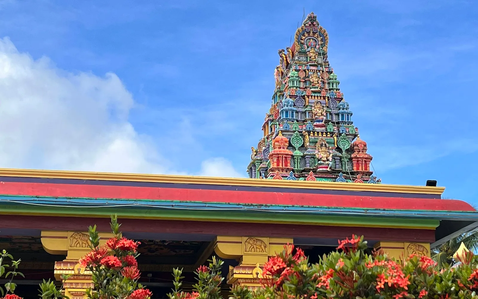 nadi cover photo