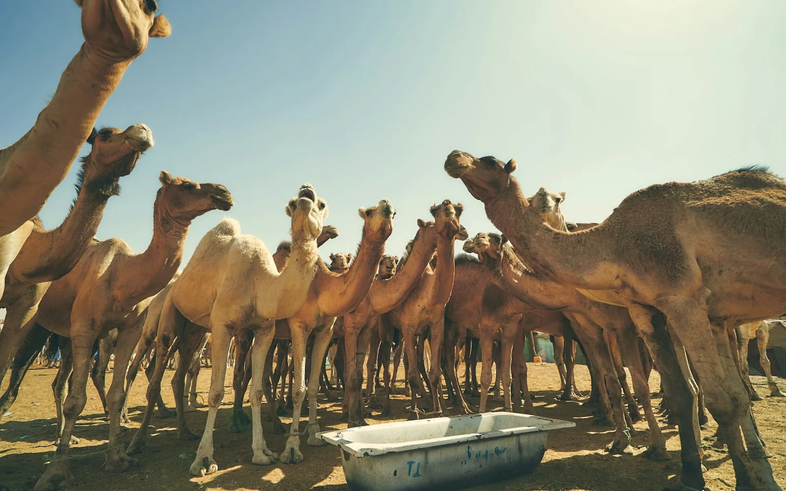 nouakchott cover photo