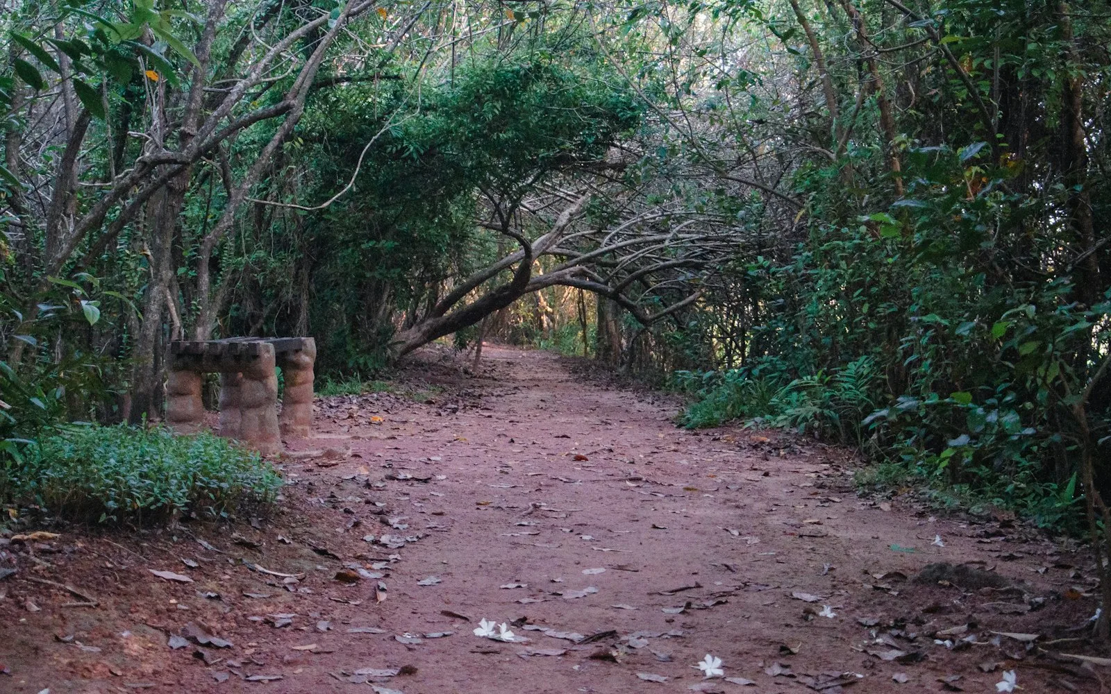 sri-jayawardenepura-kotte cover photo