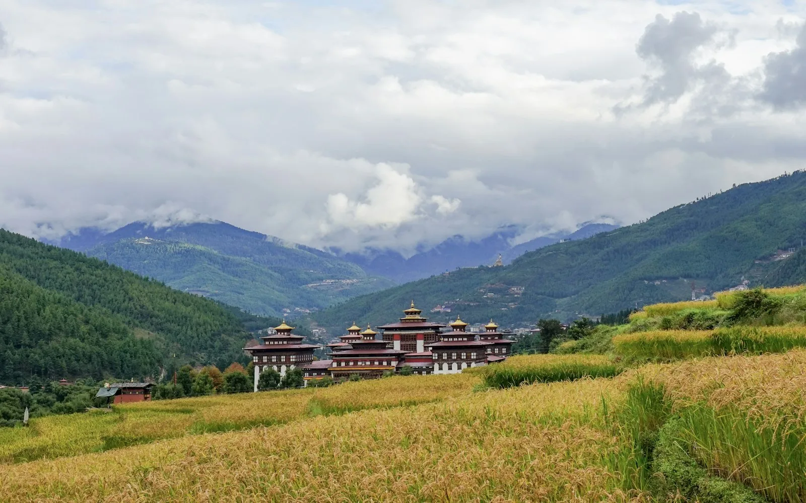 thimphu cover photo