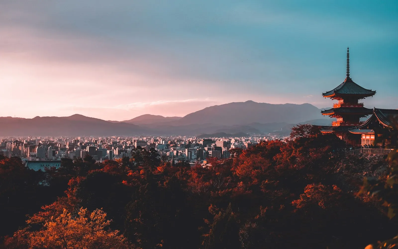 tokyo cover photo