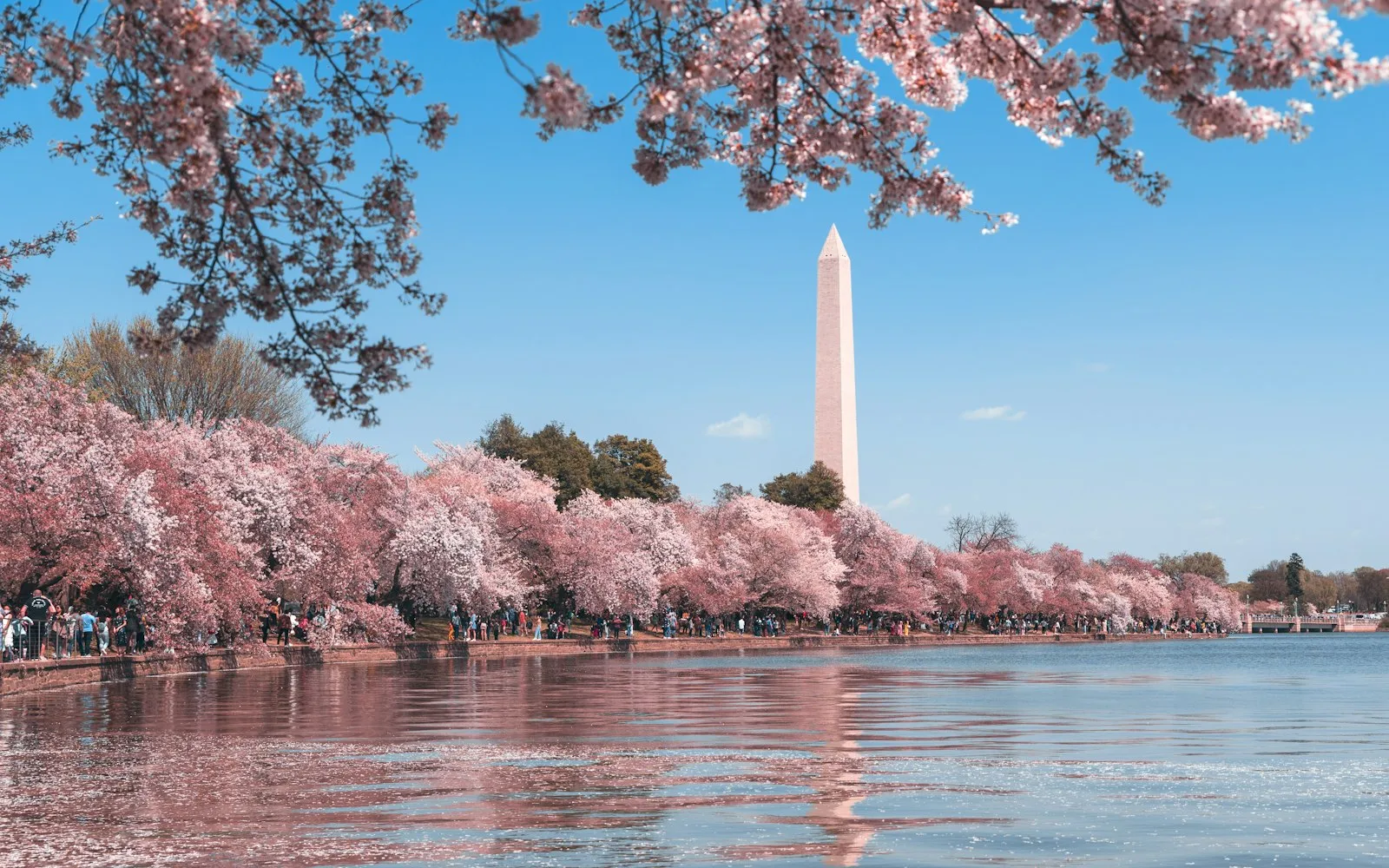washington cover photo