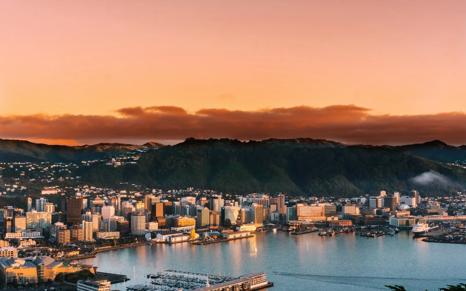 wellington cover photo